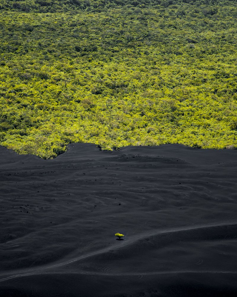 Photograph by Anton Werner