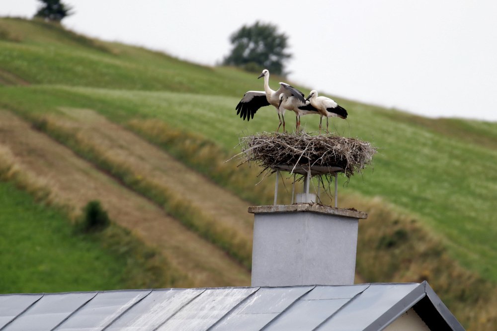 Национальные парки Словакии
