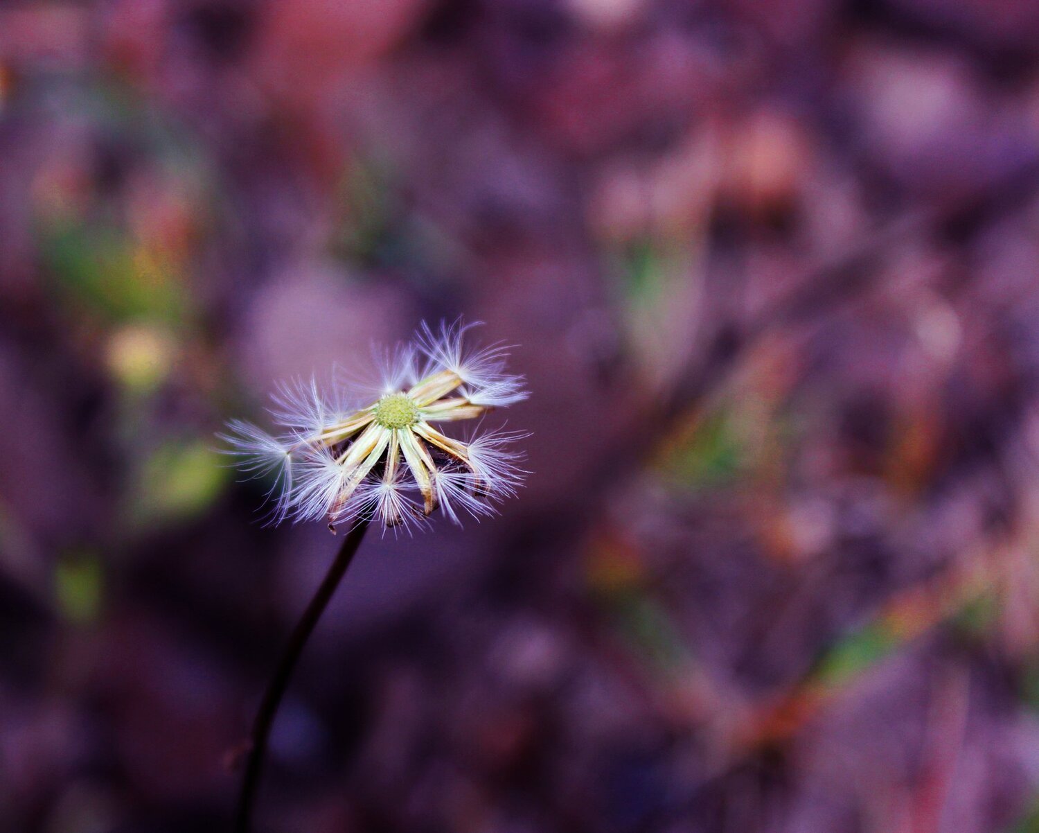 Photo #4158805