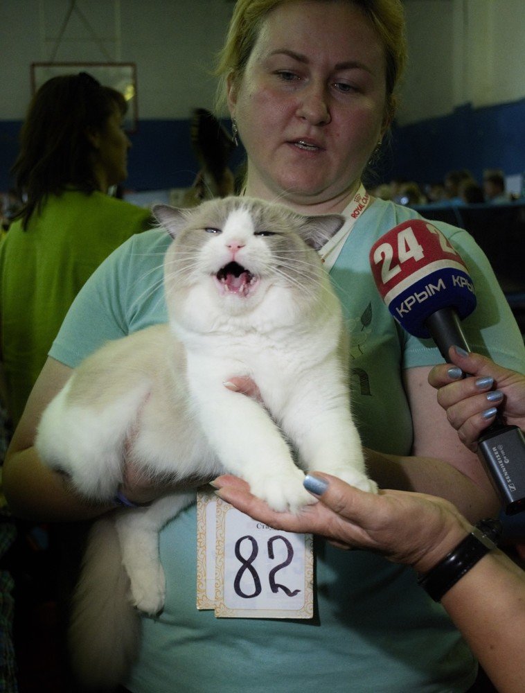 Photograph by Нелли Канивец