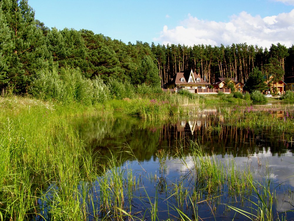 Photograph by Ирина Вассерлауф