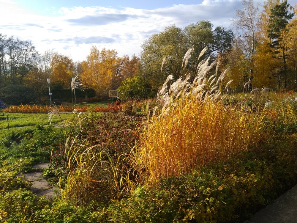 Photograph by Ирина Вассерлауф