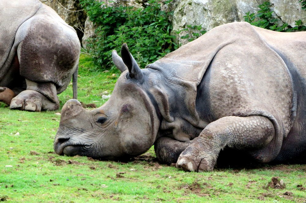 Фотография автора Ольга Завадилика