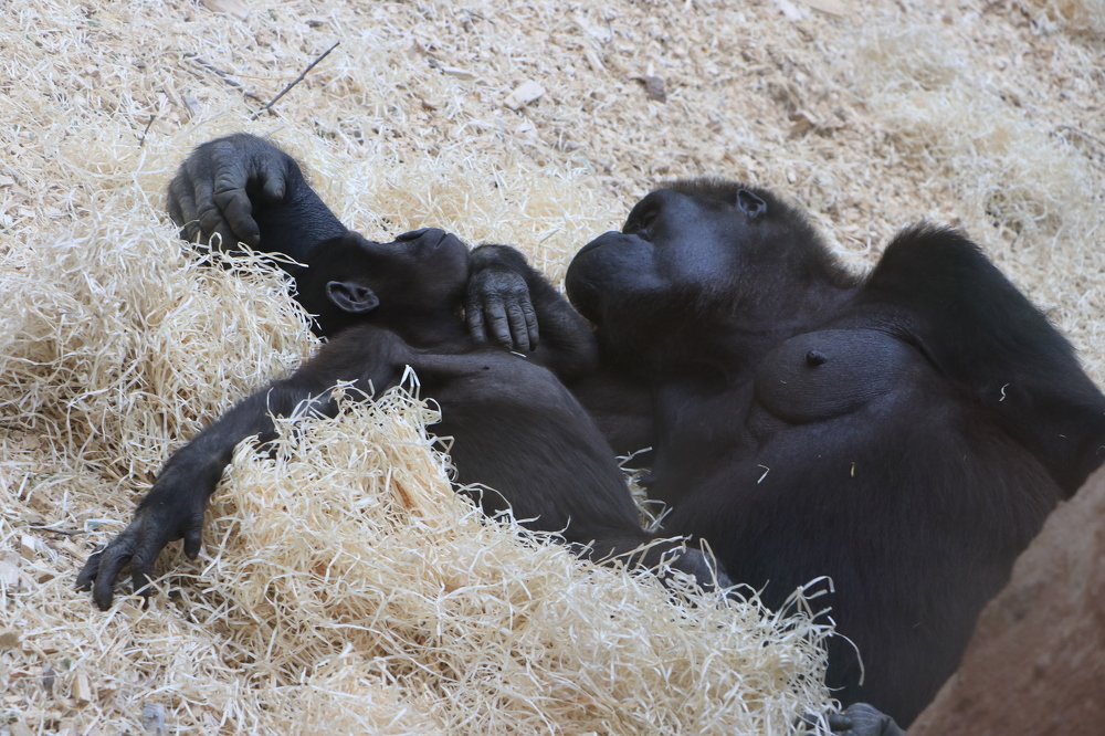 Photograph by Людмила Казак