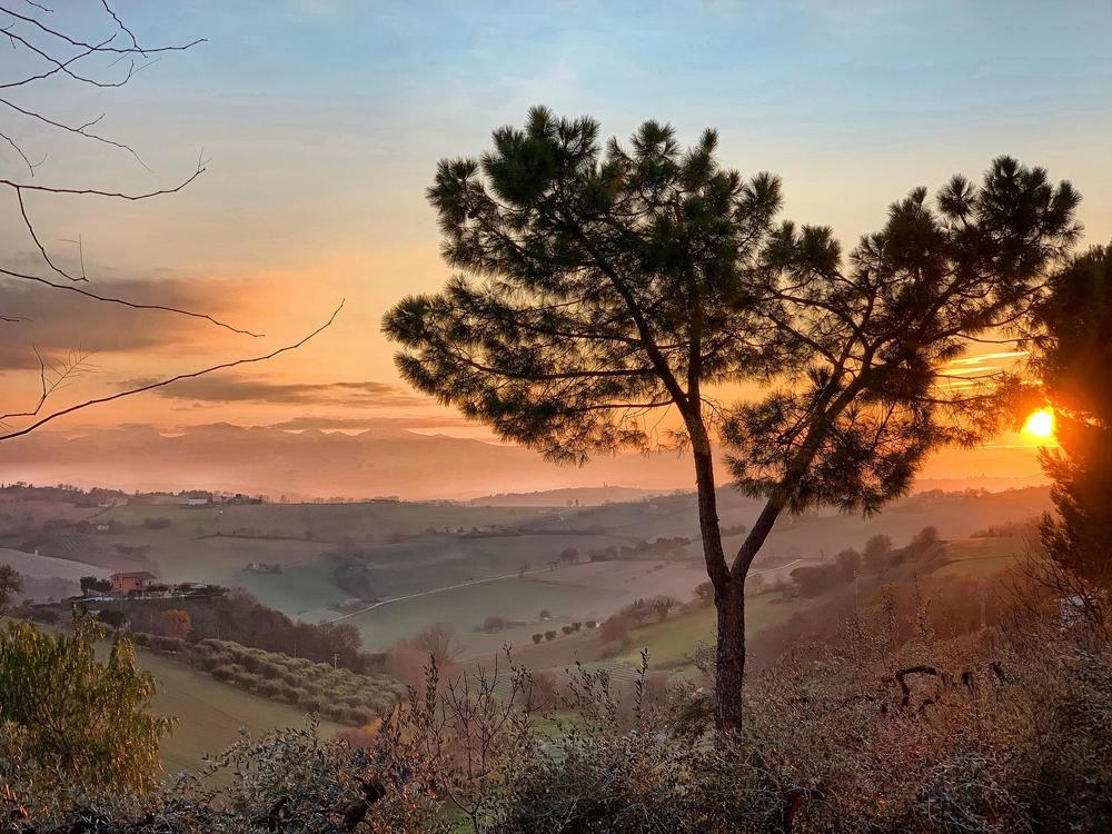 Photograph by Марина Неберекутина