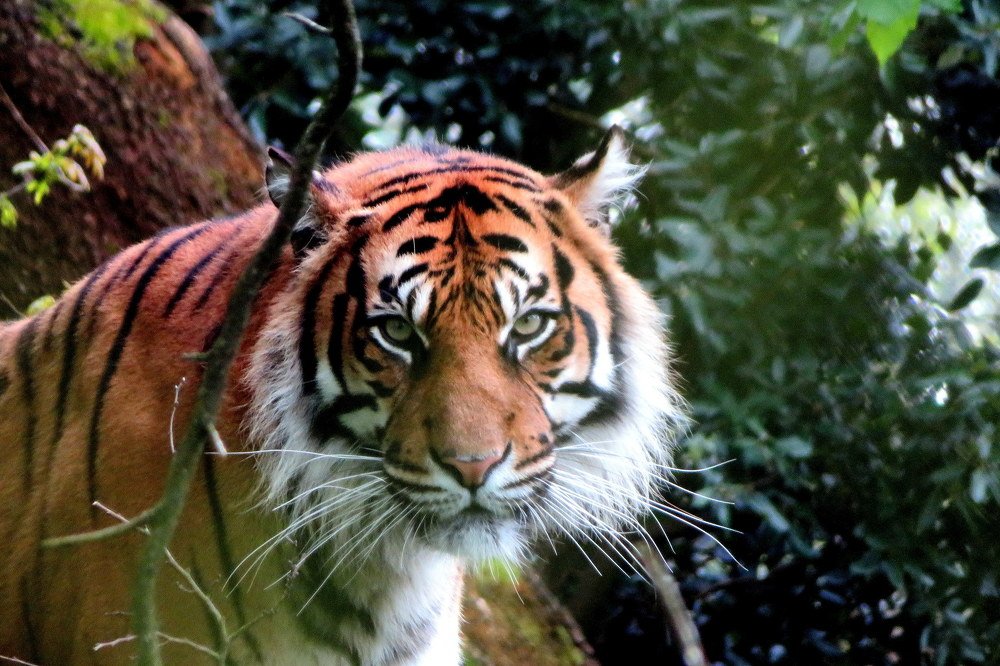 Фотография автора Ольга Завадилика