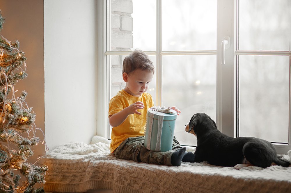 Photograph by Светлана Писарева