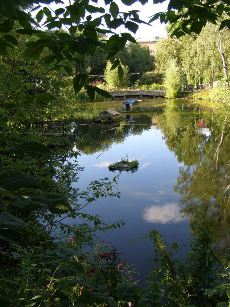 Photograph by Ирина Вассерлауф