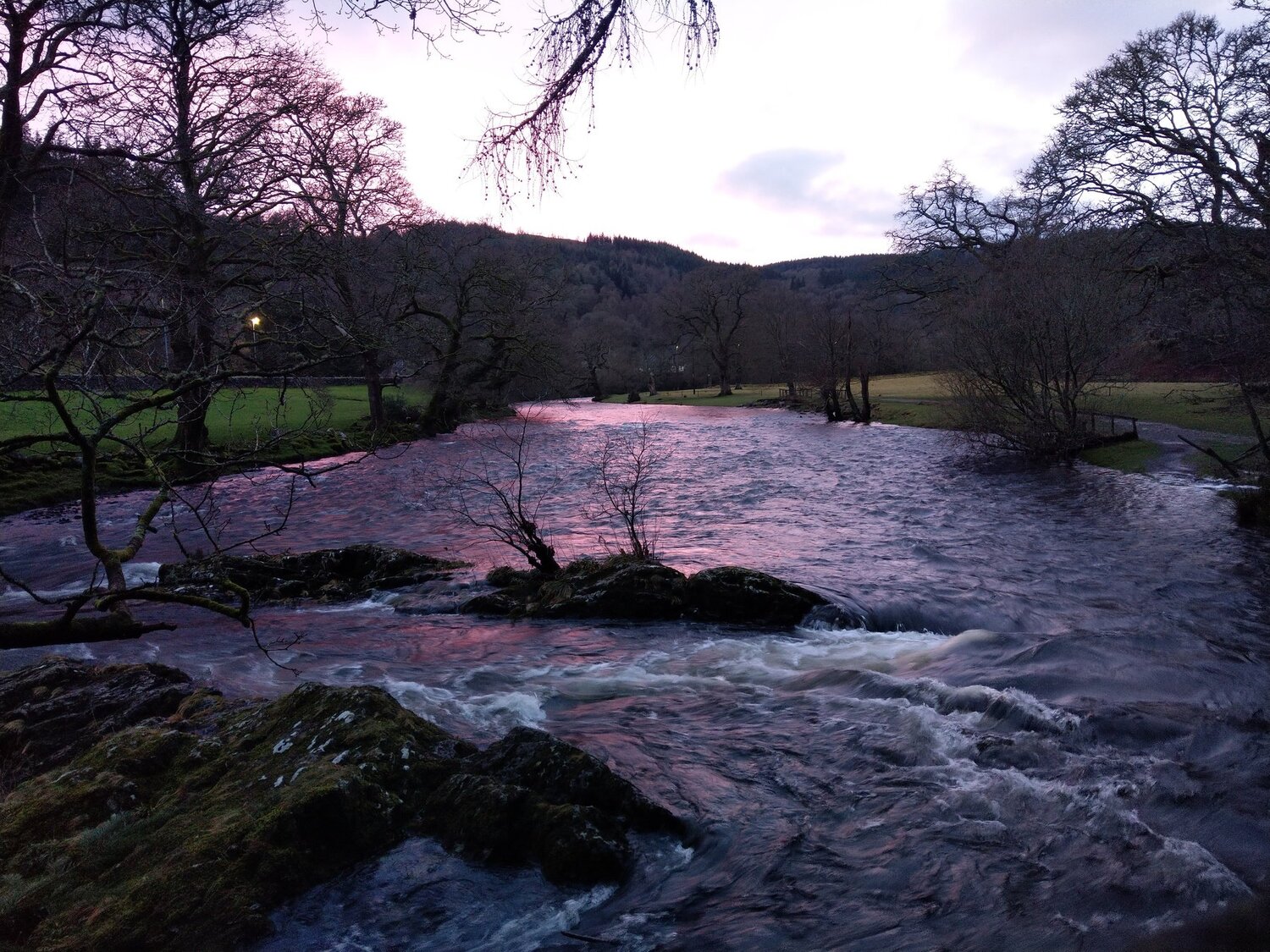 Photo #4158973