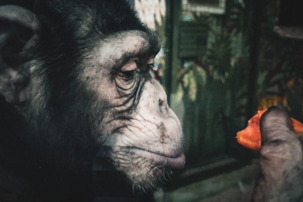 Photograph by Людмила Казак