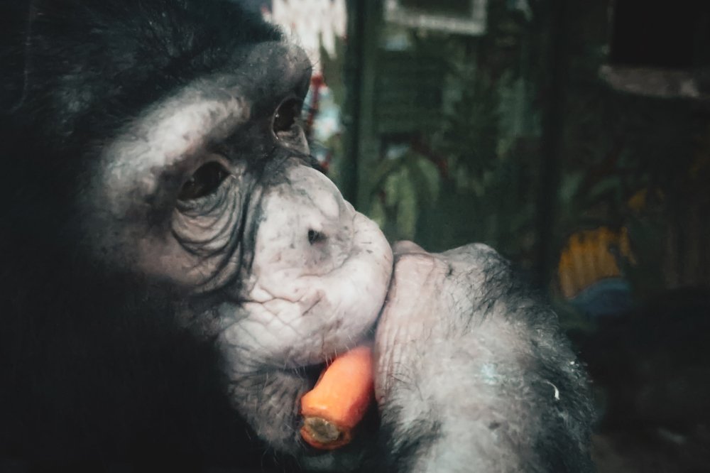 Photograph by Людмила Казак