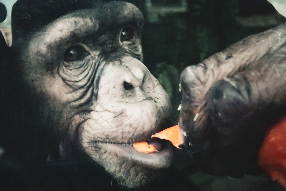 Photograph by Людмила Казак