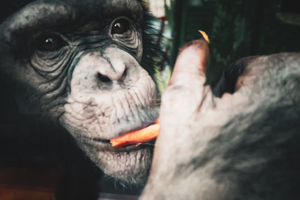 Photograph by Людмила Казак