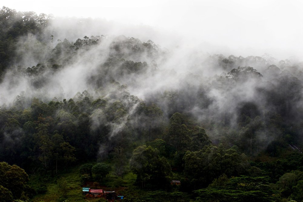 Утро в Шри-Ланке