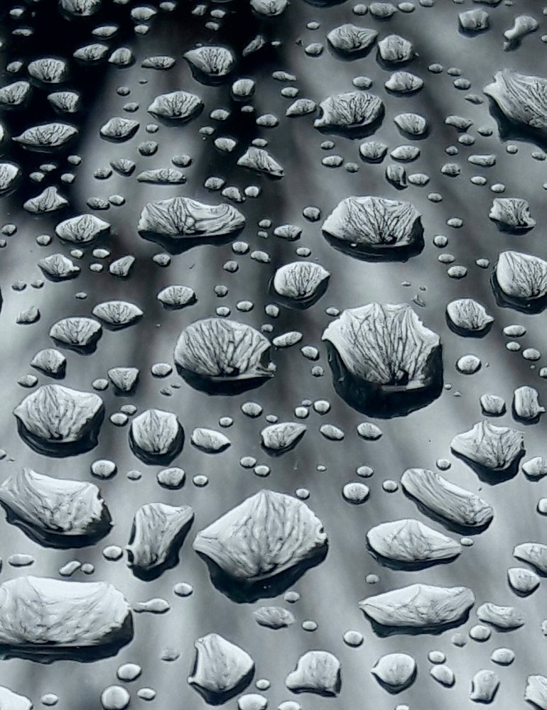 Photograph by Mozhgan Fotouhi