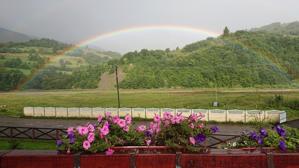 Фотография автора Max Evstafyev