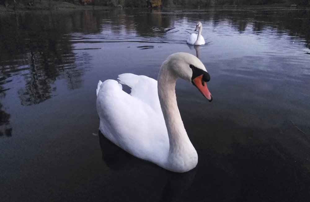 Photograph by Алексей Захаренко