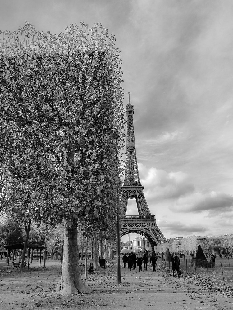 Photograph by Demetrio Jereissati