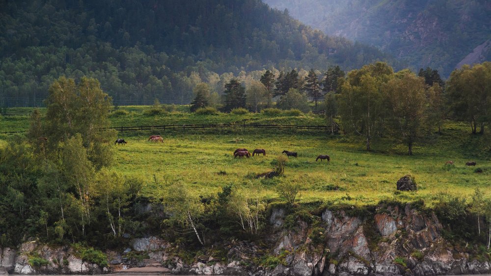 Photograph by Ольга Шацкая