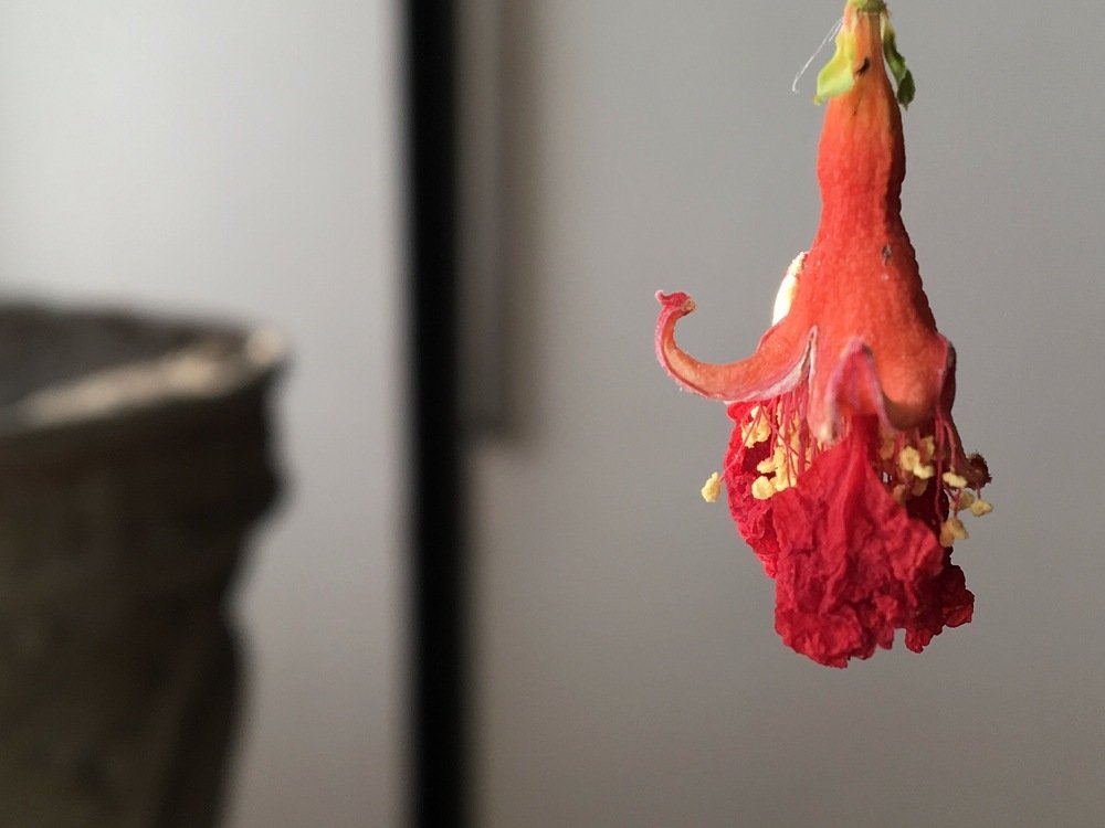 Photograph by Елена Ким