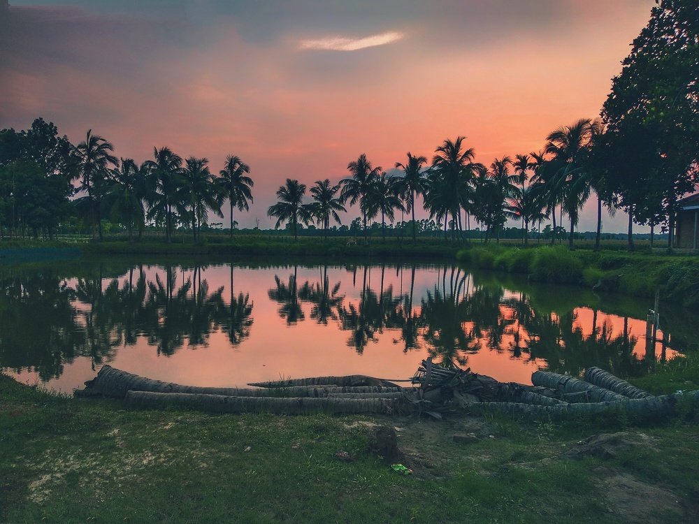 Photograph by K.M.Ferdous Hasan Foysal