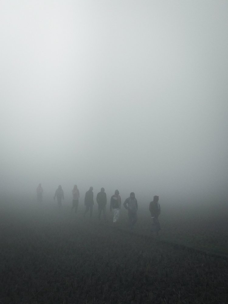 Photo #4159466