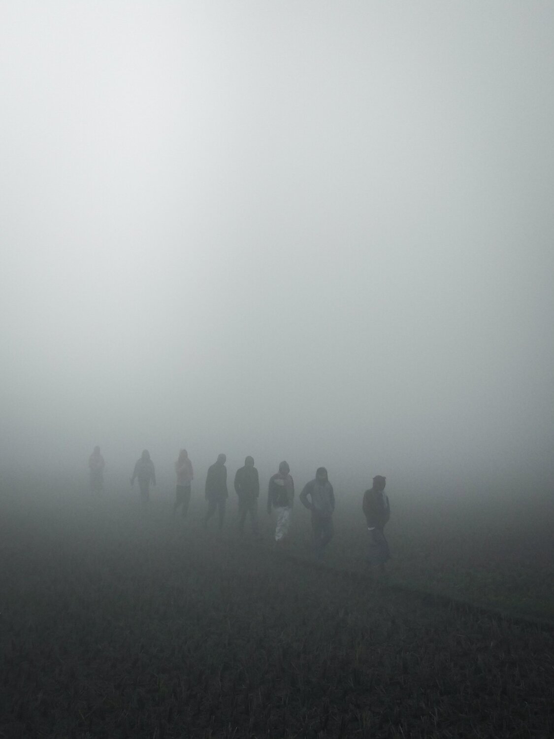 Photo #4159466