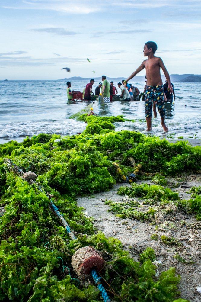 Photograph by Heber Alcides Jesús Pacheco Ramirez