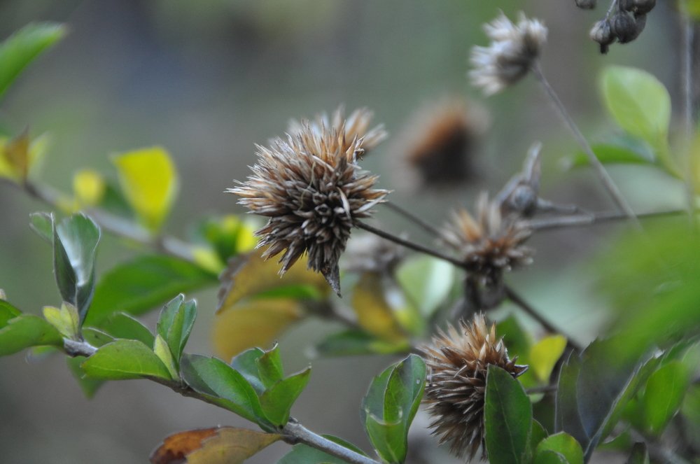 Photograph by Dina Gumanty