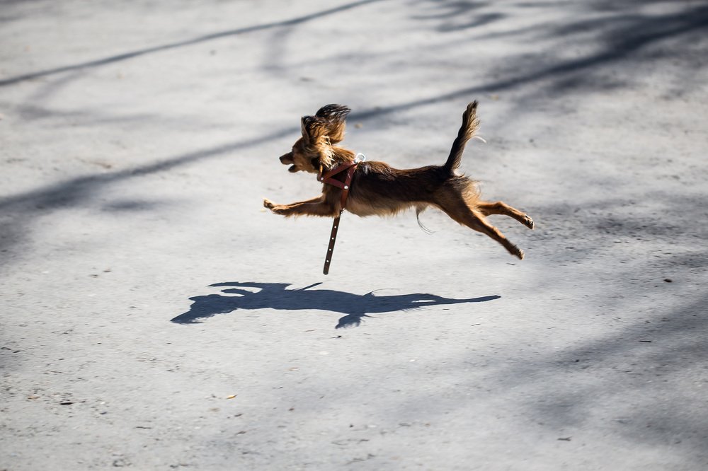 Photograph by Алексей Черников