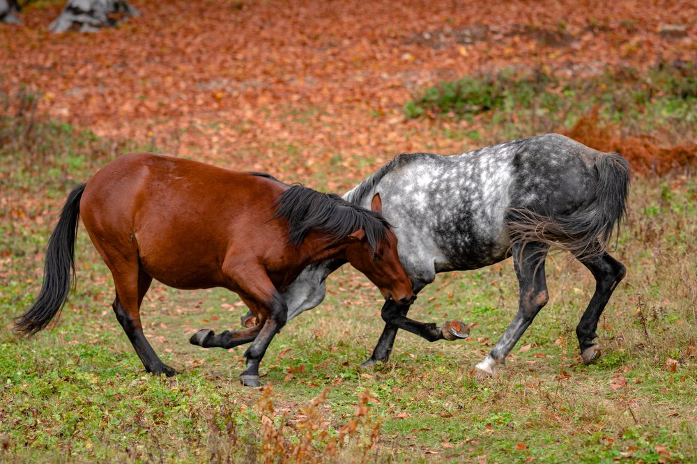 Photograph by Ольга Шацкая