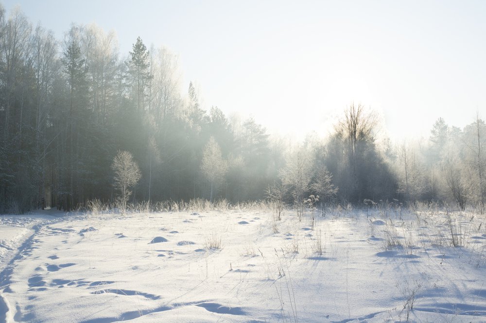 Photograph by Павел Балин