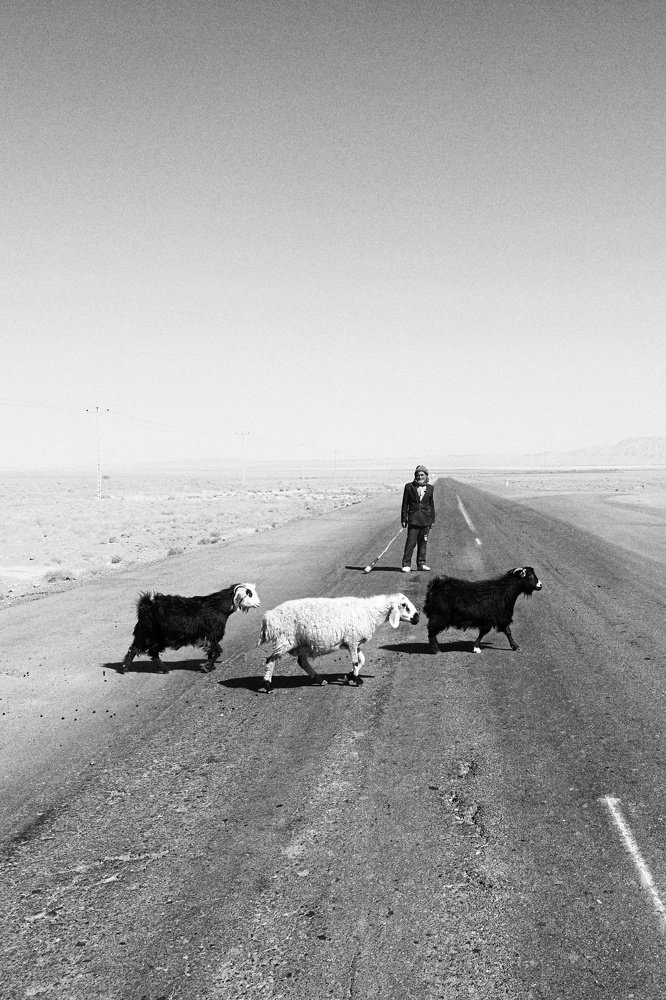 Photograph by Mohamad Baghestani