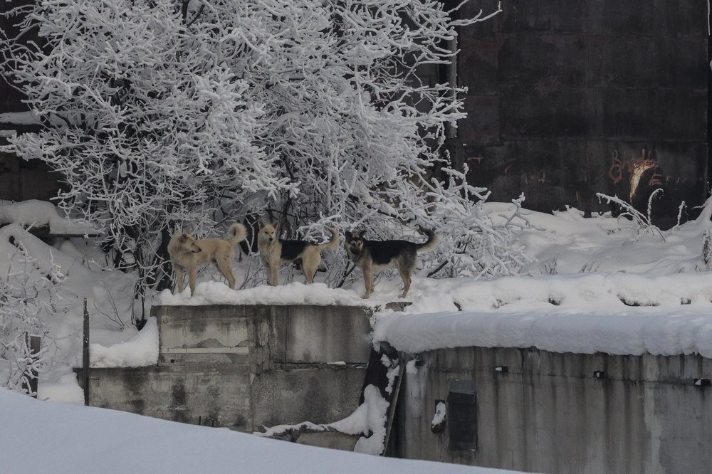 Photograph by Кирилл Ермилов