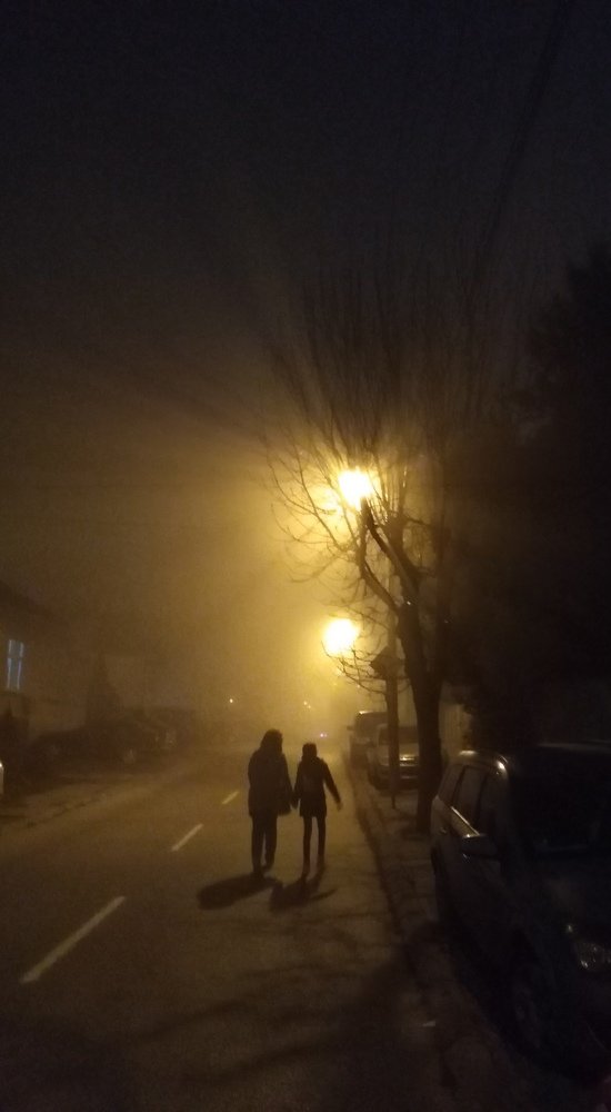 Photograph by Darko Milojevic