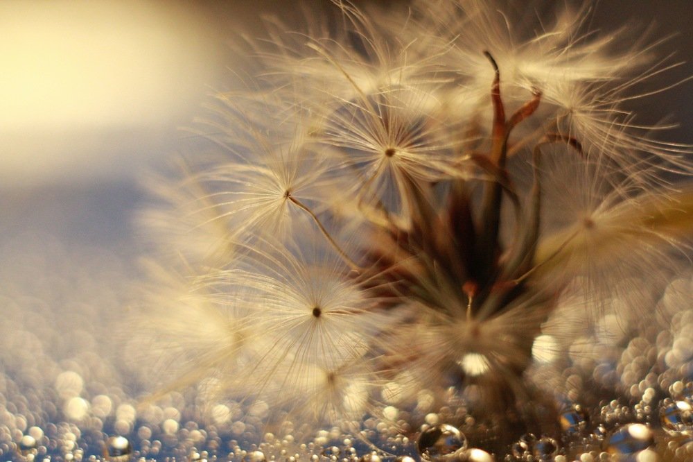 Photograph by Наталия Табоякова