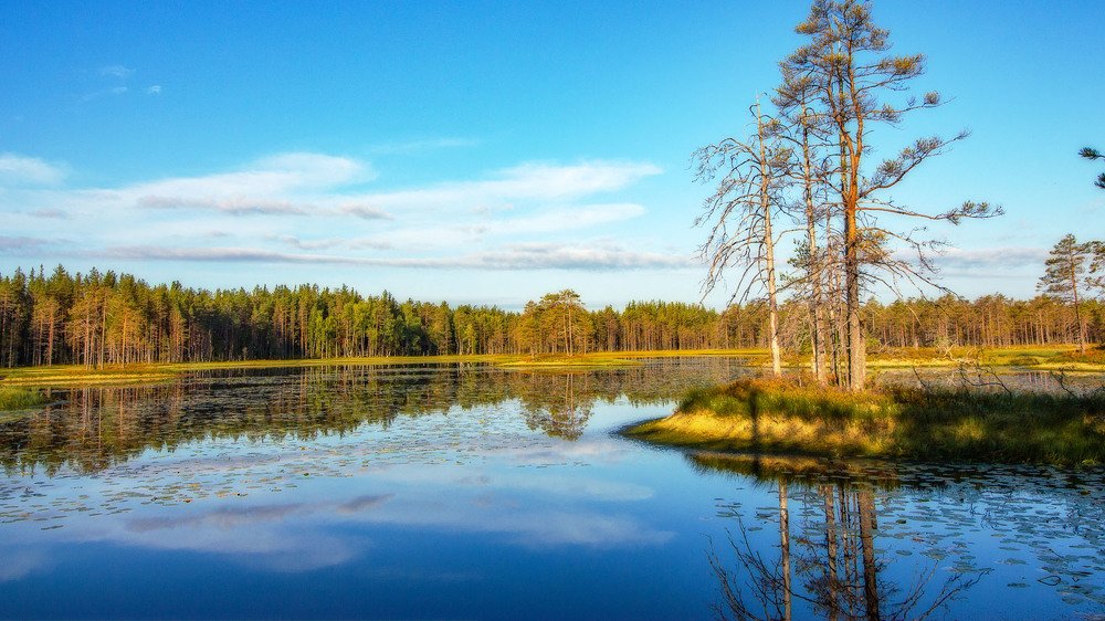 Photograph by Павел Дунюшкин