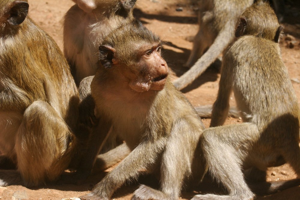 Photograph by Лилия Гиндулина