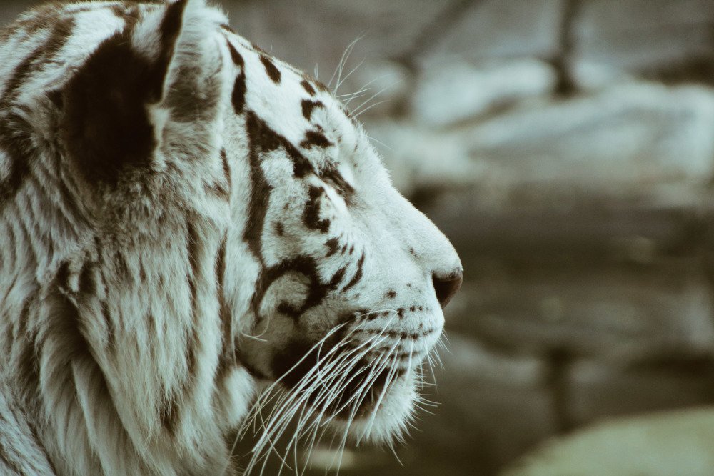 Фотография автора Karina Pampo