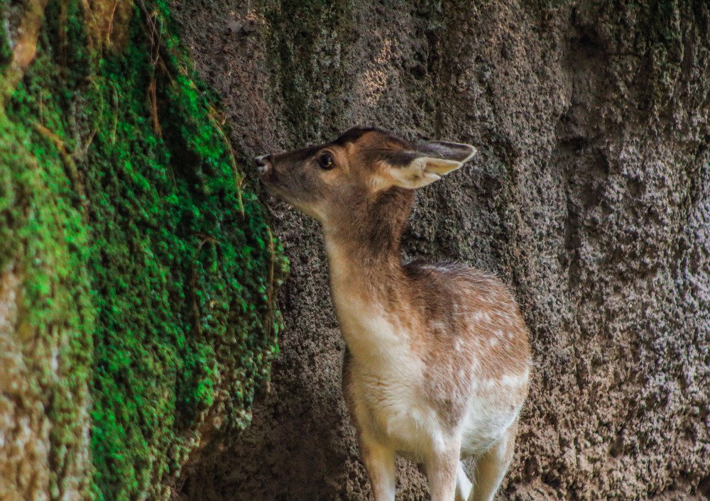 Фотография автора Karina Pampo