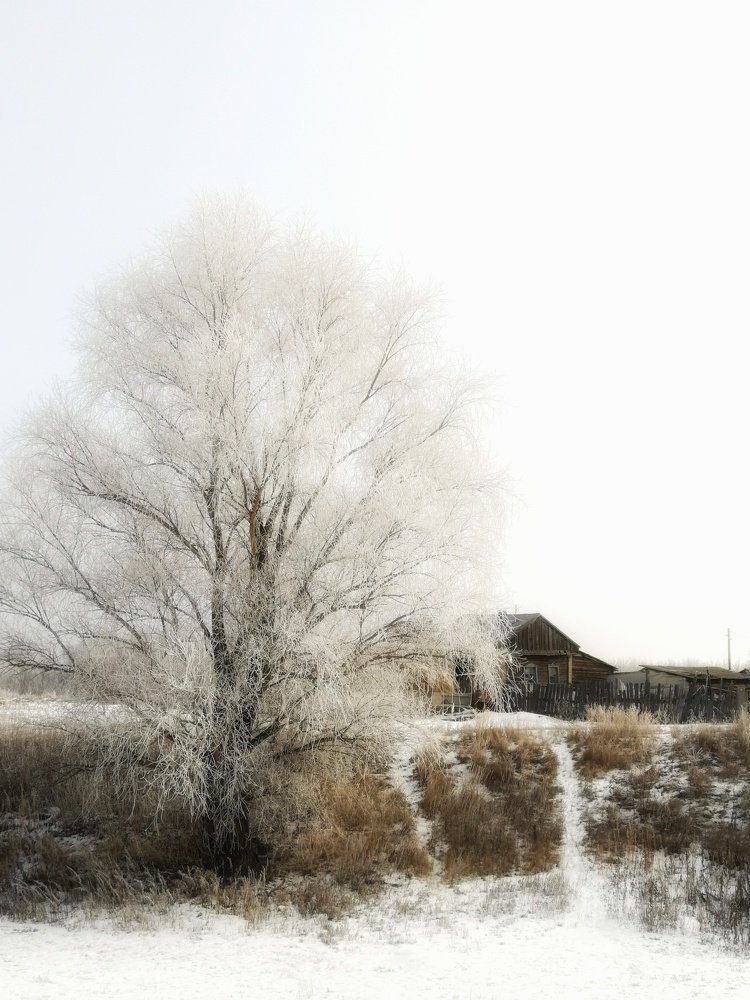 Photograph by Анастасия Чепурнова
