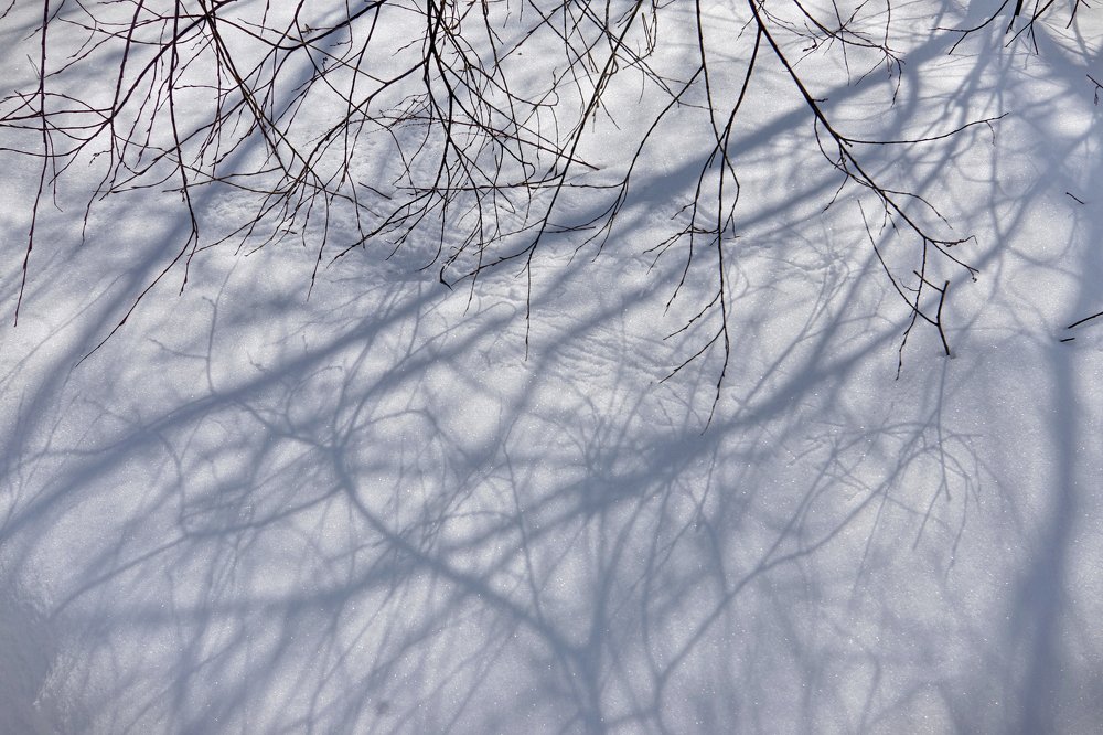 Солнечные рисунки