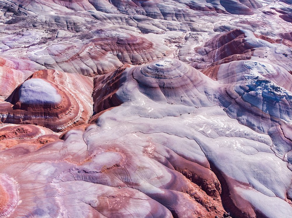 Photograph by Lana Anferow