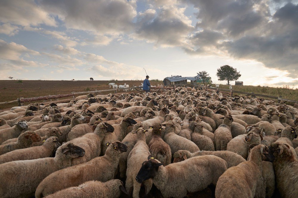 Photograph by Telmo Rocha