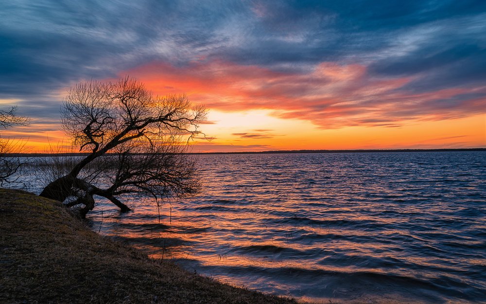 Photograph by Valdemaras Mockus