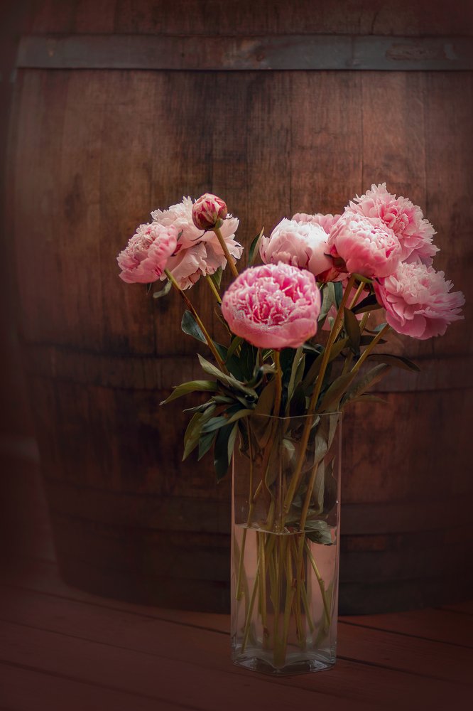 Photograph by Maria Hij