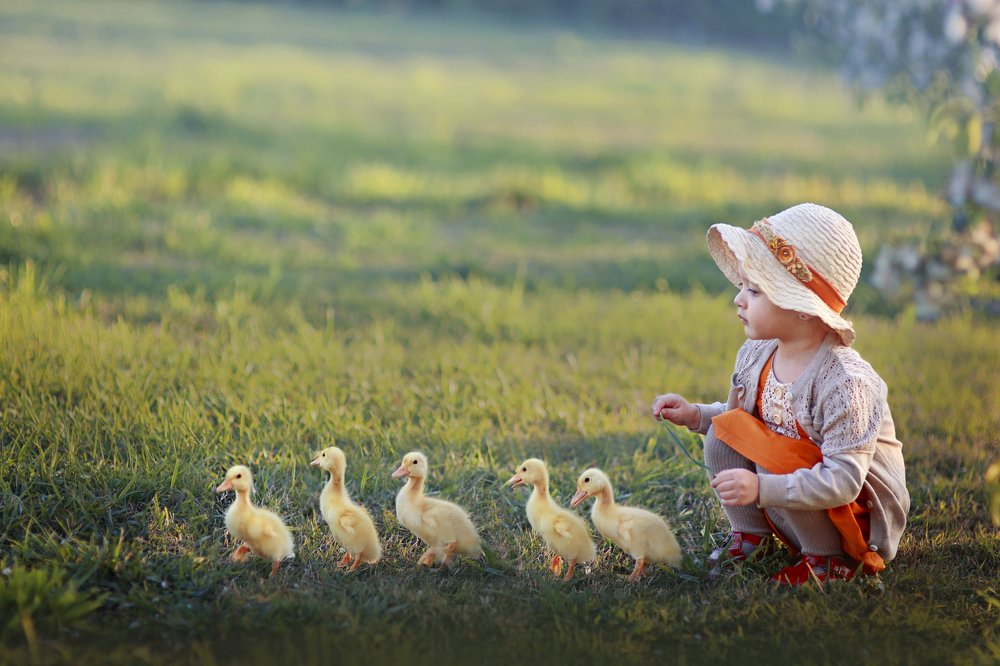 Фотография автора Склярова Анастасия