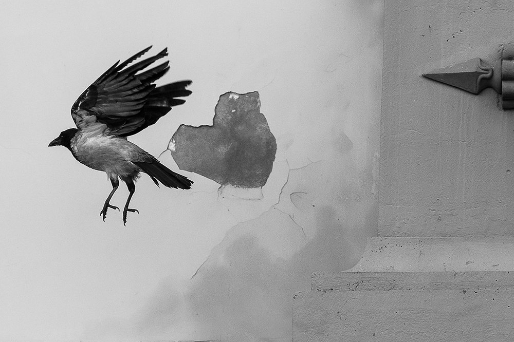 Photograph by Чистякова Валерия