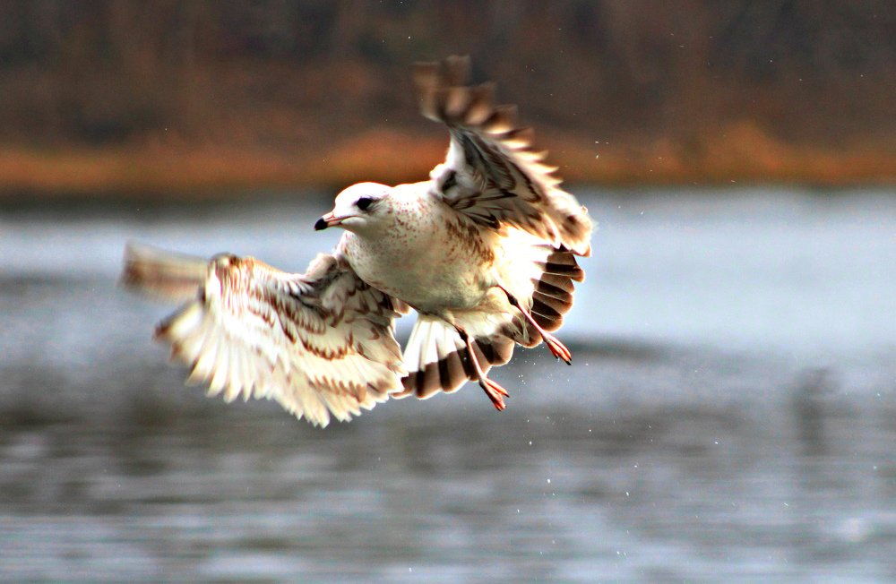 Photograph by Galina Tsmyg