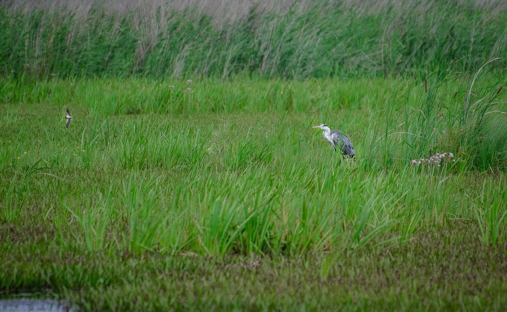 Photograph by Инна Макеева